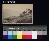 藏品(霧社風景明信片：遠望新高山)的圖片